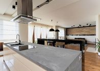 Hohe Helligkeits-Quarz-Küche Countertops