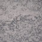 Mit Leder überzogene Oberfläche des Ende20mm Grey Calacatta Wall Panel Quartz